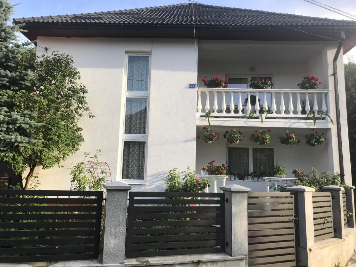 Pensiunea Grapini Sant Exterior foto