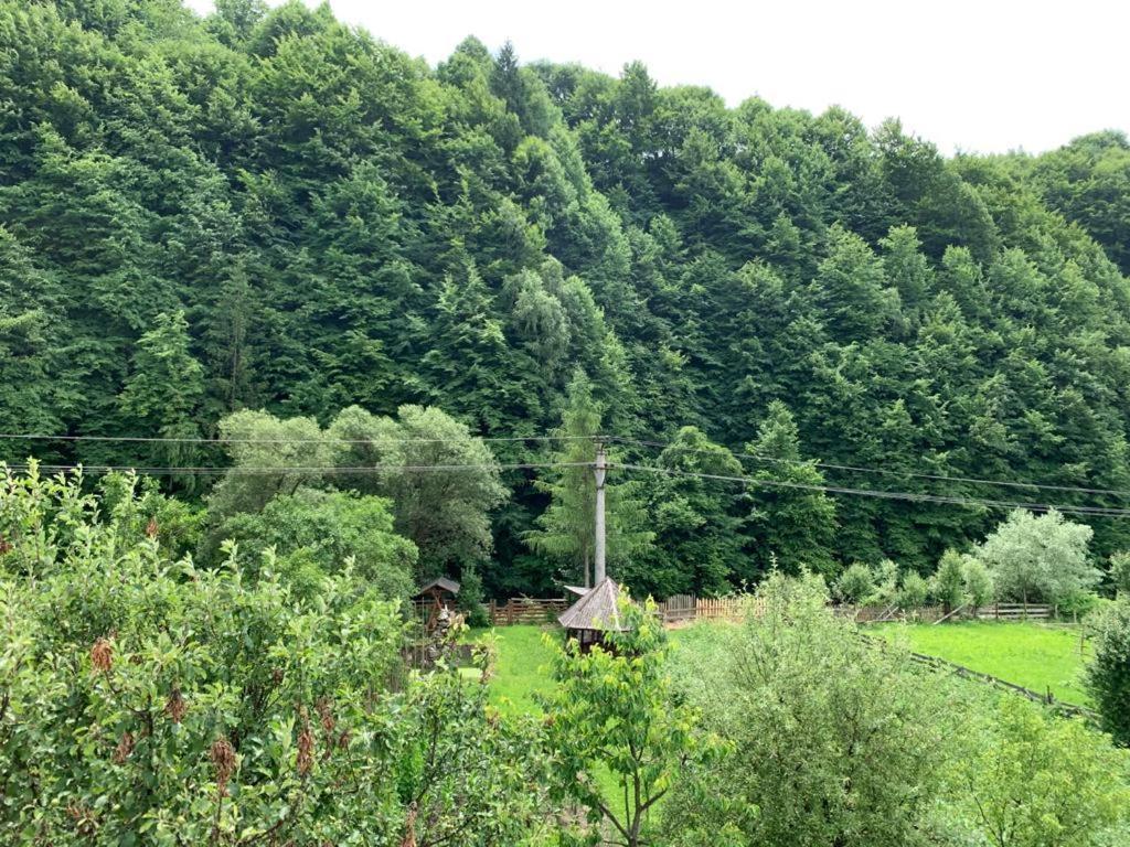 Pensiunea Grapini Sant Exterior foto