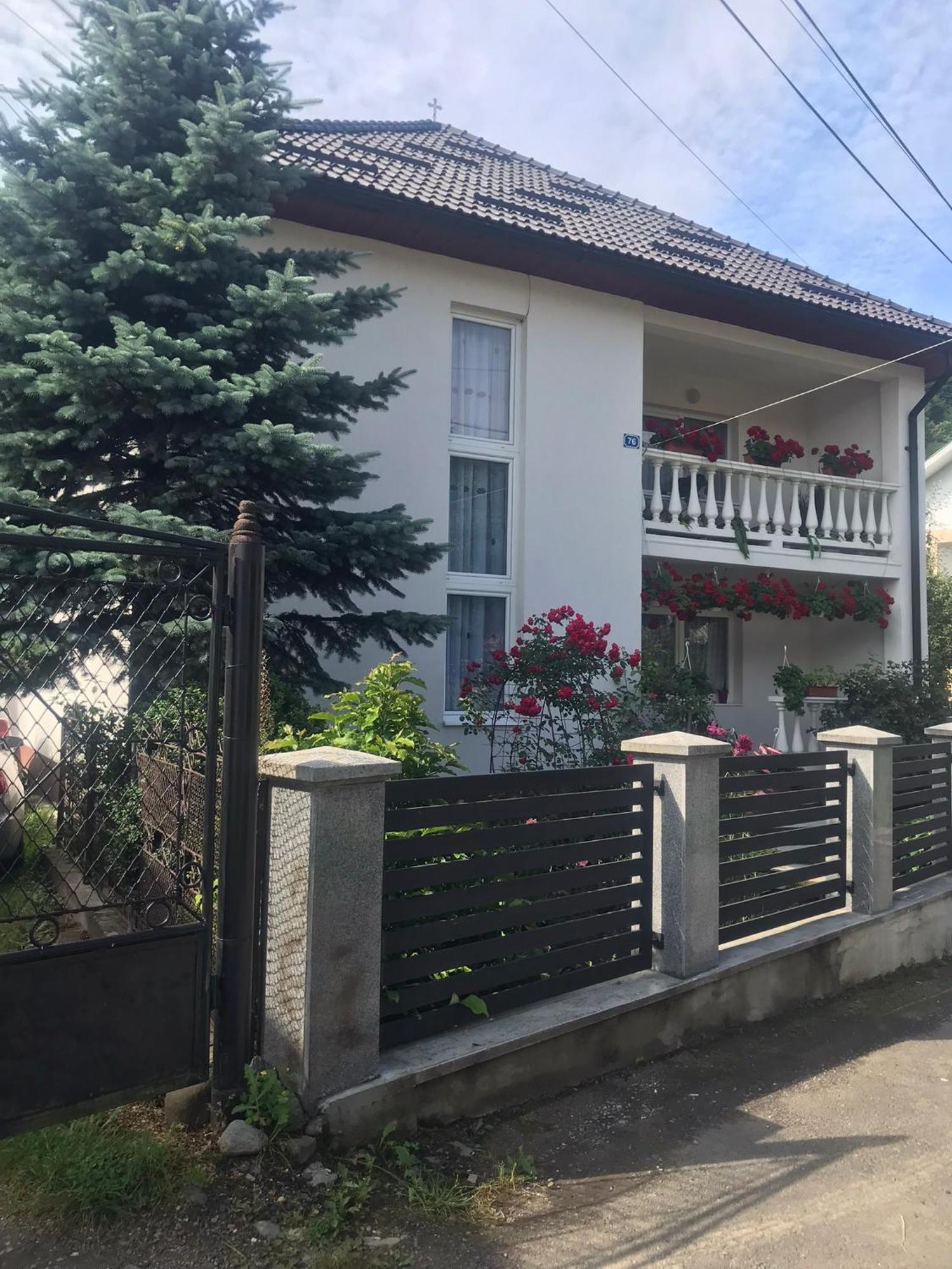 Pensiunea Grapini Sant Exterior foto